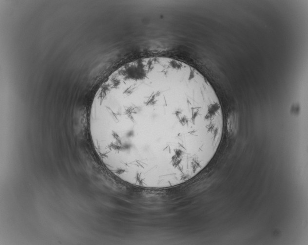 X0000111151299200907211153
