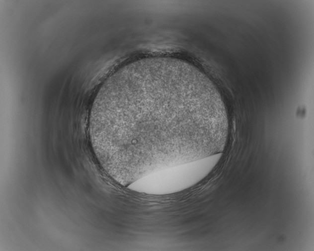 X0000111151300200907211153