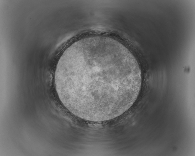 X0000111151302200907211153