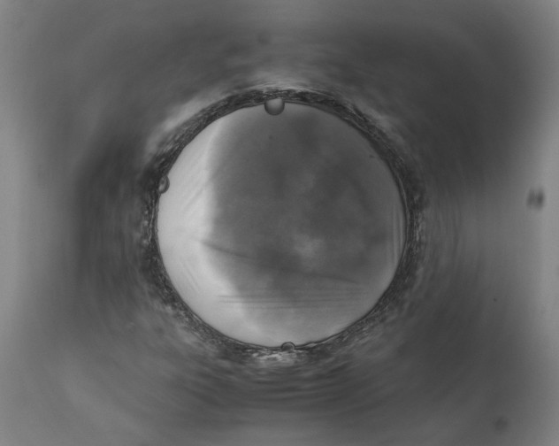 X0000111151303200907211153