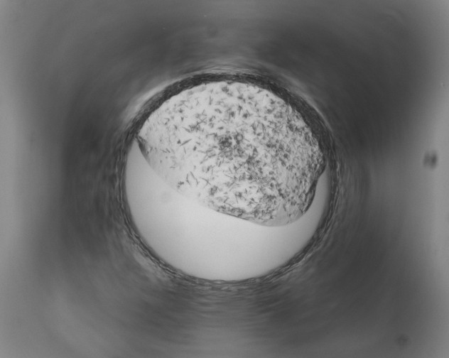 X0000111151304200907211153
