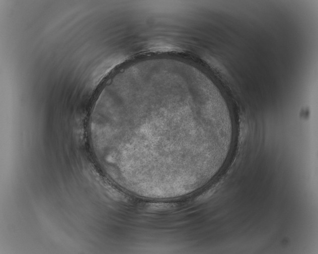 X0000111151305200907211153