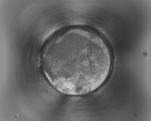 X0000111151306200907211153