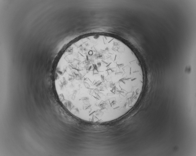 X0000111151308200907211153