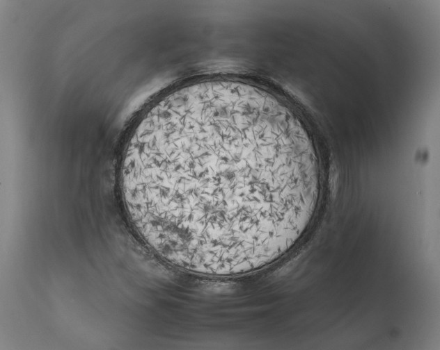 X0000111151309200907211153