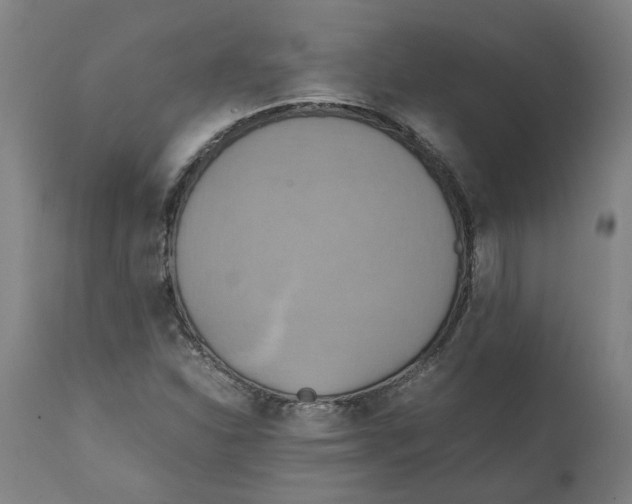 X0000111151310200907211153