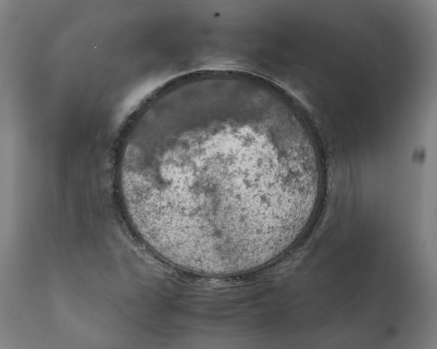 X0000111151311200907211153