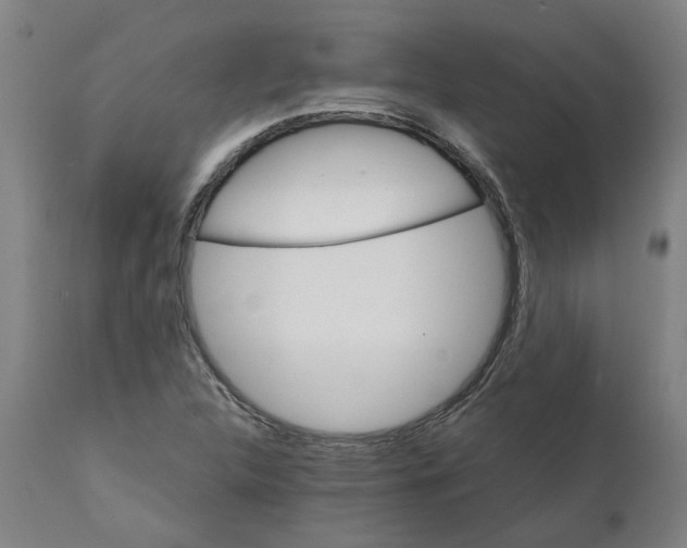 X0000111151312200907211153