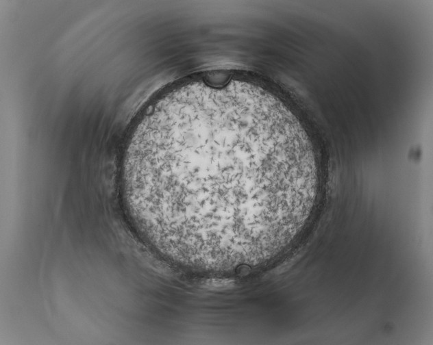 X0000111151313200907211153