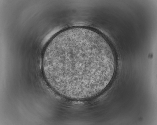 X0000111151317200907211154
