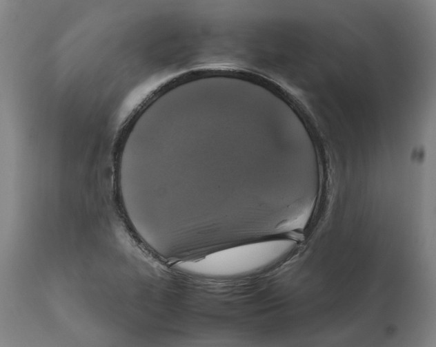 X0000111151319200907211154