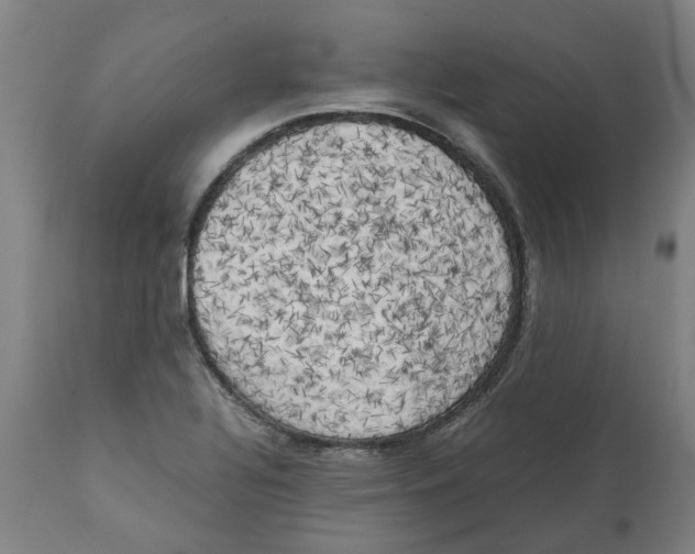 X0000111151320200907211154