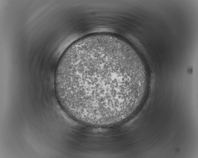 X0000111151321200907211154