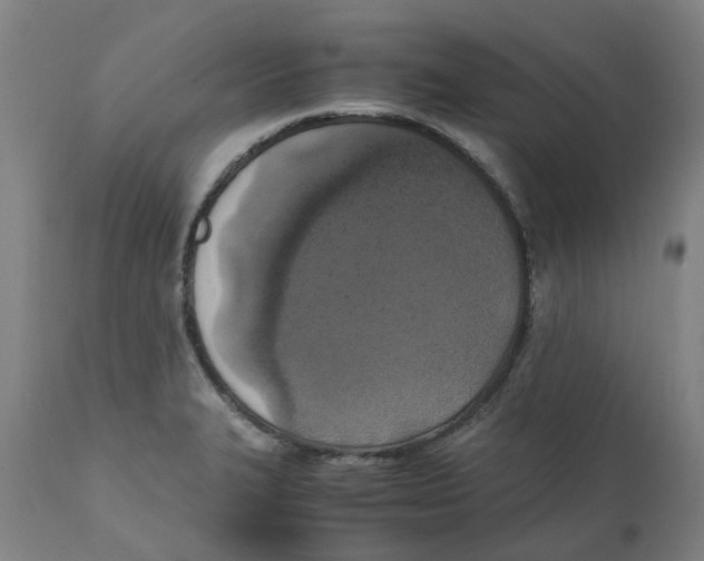 X0000111151327200907211154