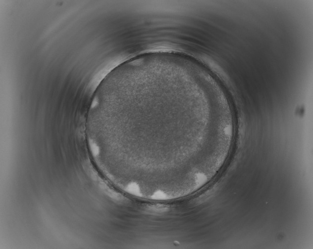 X0000111151329200907211154