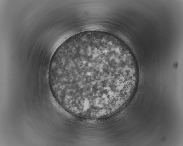 X0000111151330200907211154