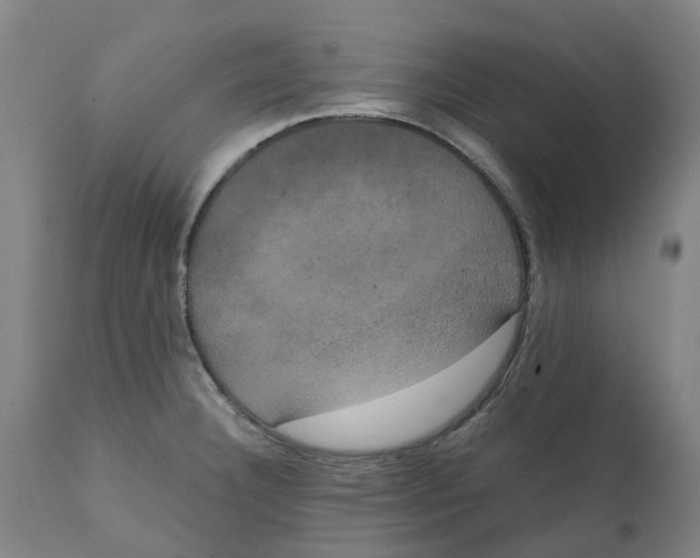 X0000111151332200907211154