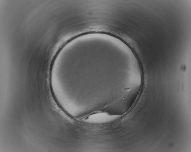 X0000111151334200907211154