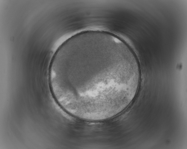 X0000111151335200907211154
