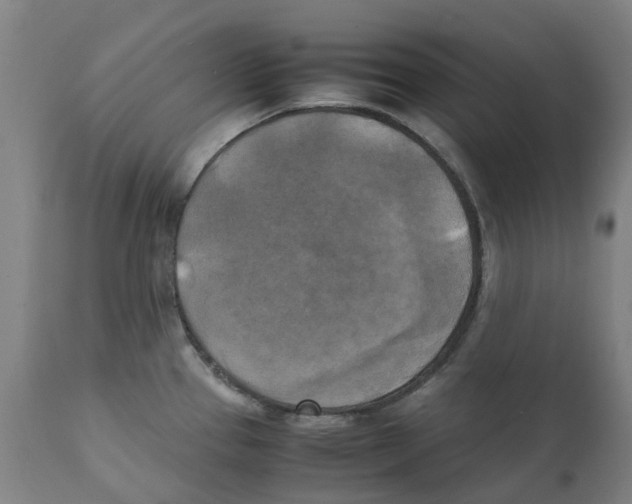 X0000111151337200907211154