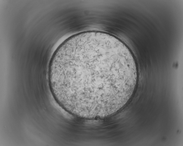 X0000111151339200907211154