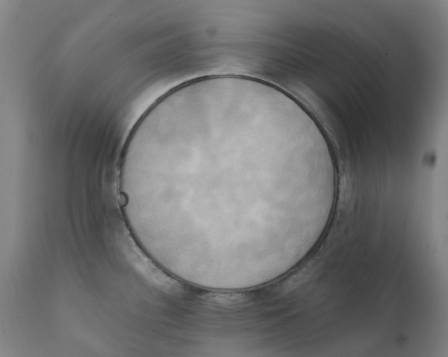 X0000111151340200907211154