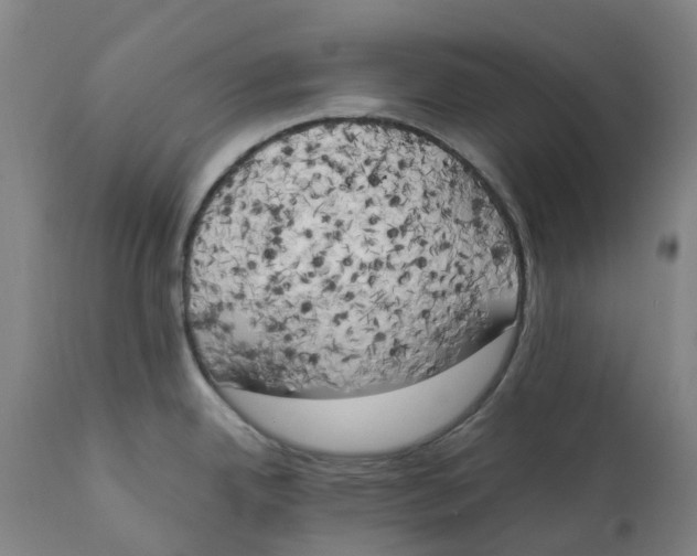 X0000111151342200907211154