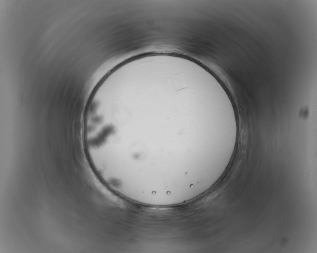 X0000111151343200907211154