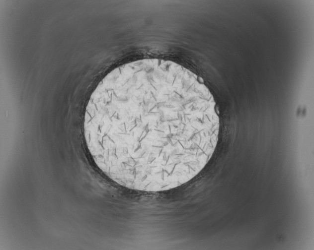 X0000111151345200907211153