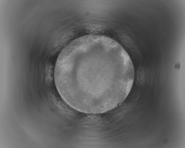 X0000111151346200907211153