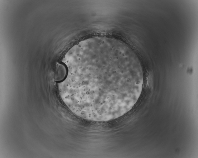 X0000111151347200907211153