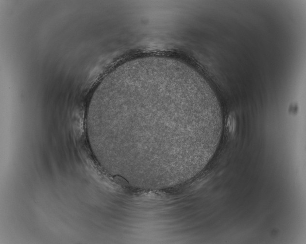 X0000111151348200907211153