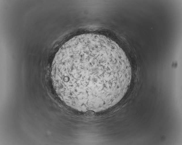 X0000111151349200907211153
