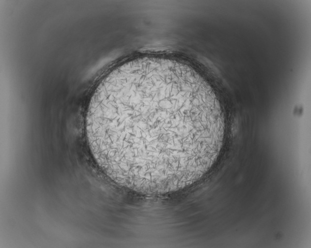 X0000111151350200907211153