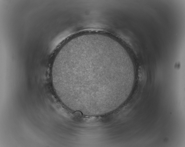 X0000111151352200907211153