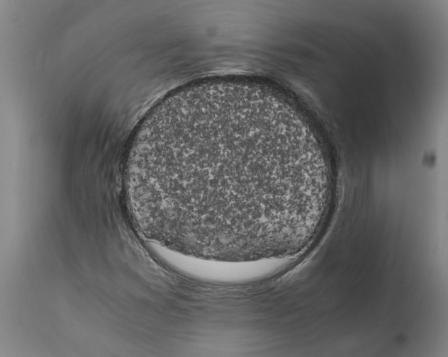 X0000111151353200907211153