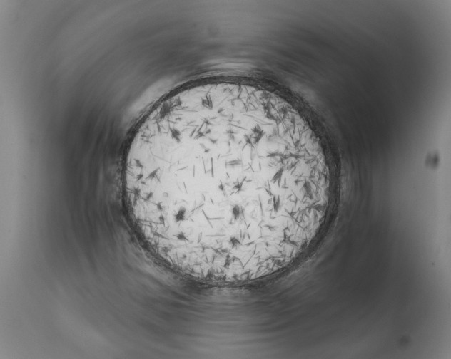 X0000111151354200907211153