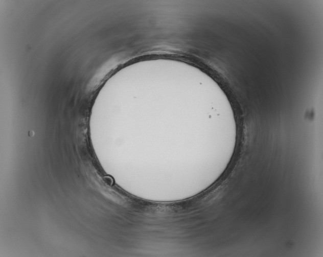 X0000111151355200907211153