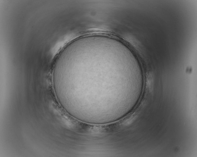 X0000111151357200907211153