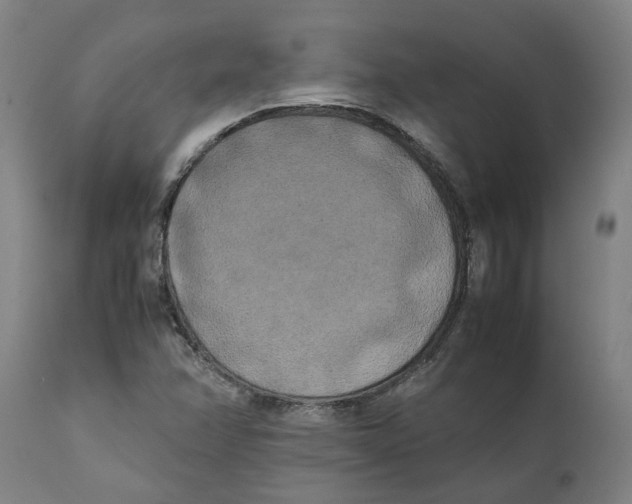X0000111151358200907211153