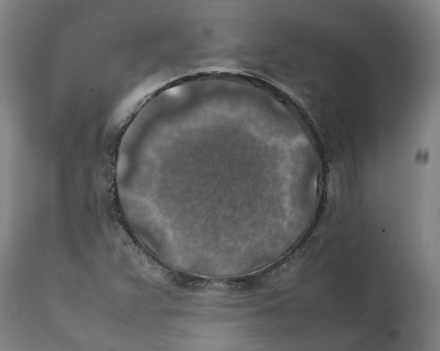 X0000111151359200907211153