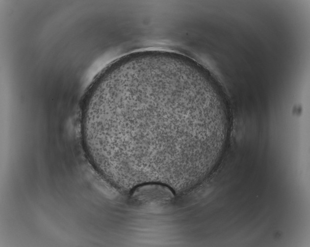 X0000111151360200907211153