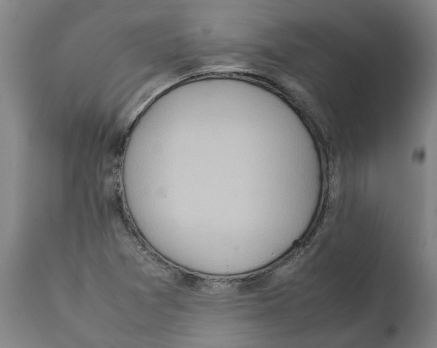 X0000111151361200907211153
