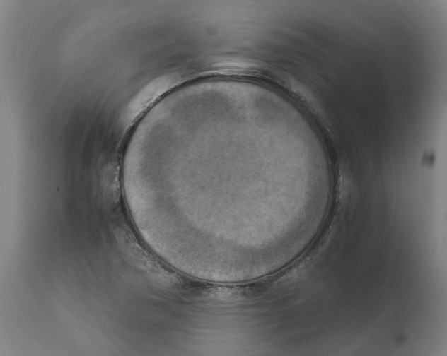X0000111151362200907211153