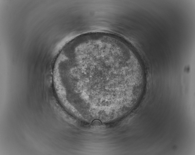X0000111151363200907211153