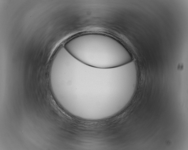 X0000111151364200907211153