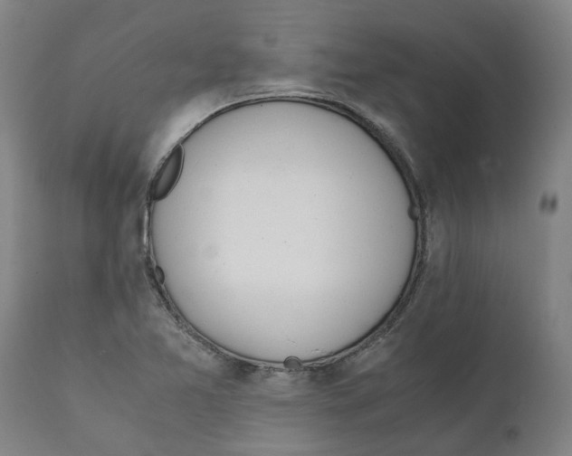X0000111151365200907211153