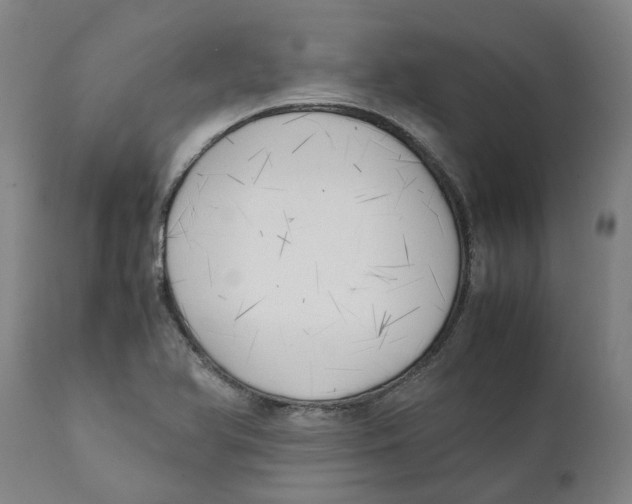 X0000111151366200907211153