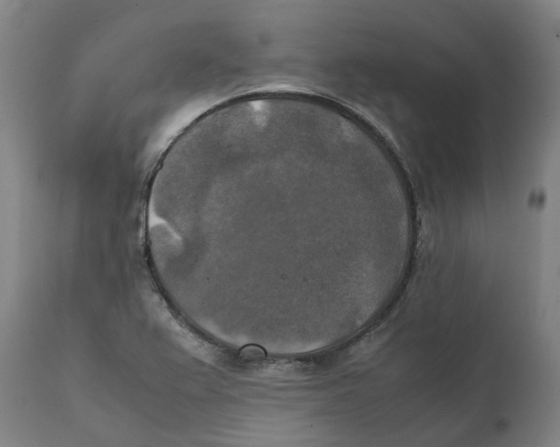 X0000111151367200907211153