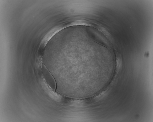X0000111151369200907211153